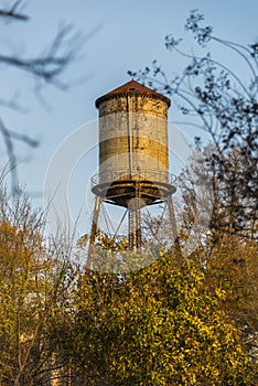 Water tower over the trees