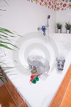 Water toys on bathtub