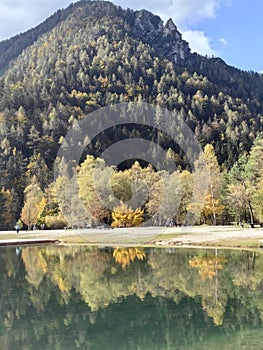 Water tree enjoyment nature  cloud  verdure