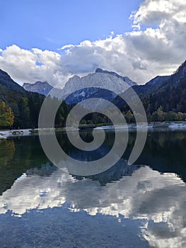 Water tree enjoyment nature  cloud  verdure