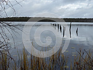 Water, tree, landscape, nature, river, forest, trees, lake, sky, spring, autumn, winter, reflection, Park, season, blue, clouds, p