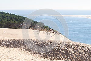 Water, trees and sand at the Dune of Pilat