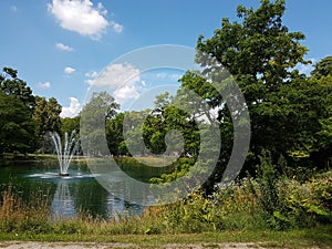 Water, Trees, Skie and Clouds