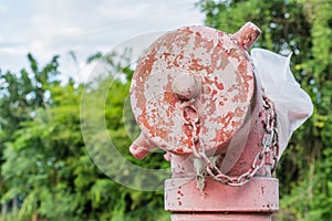 Water tube valve head