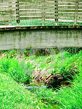 Water under the Bridge