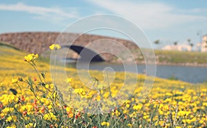 Water under the bridge