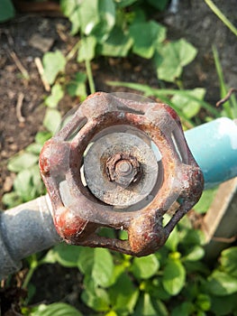 Water valve