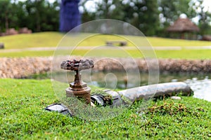 Water valve of the irrigation system