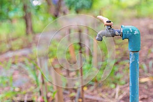 water valve or old faucet in the garden