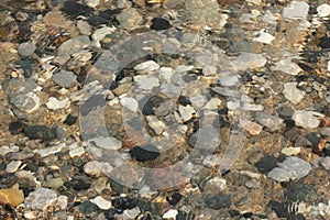 Water Washing Over Pebbles on a Lake Huron Beach