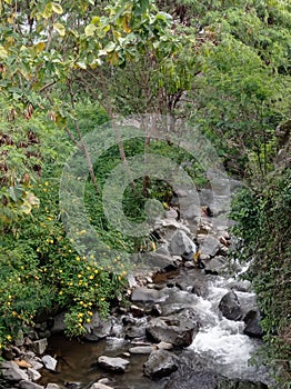 Water waterflow environtmen flower stone