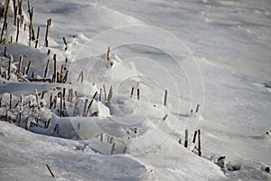 water by waves have been frozen on reed along river Hollandse IJ