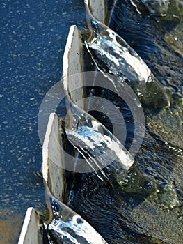 Water through a weir after biological treatment in a wastewater treatment plant