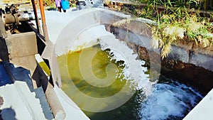 Water from a well filled a pond for irrigation,water pump and tank with a huge flow of fresh water for irrigating fields - farming