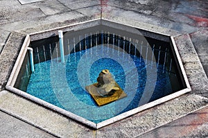 water well,Spring wells,water wells,The fountain of life,Natural mineral water,Blue Spring