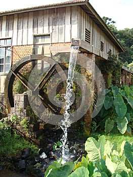 Water Wheel