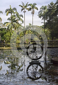 Water wheel at the botanical garden of Sao Paulo - Jardim botÃÂ¢nico de SÃÂ£o Paulo photo