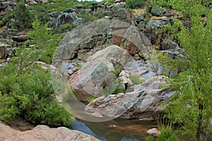 Water Wheel Falls Hiking Trail, Tonto National Forest, Payson, Arizona, United States