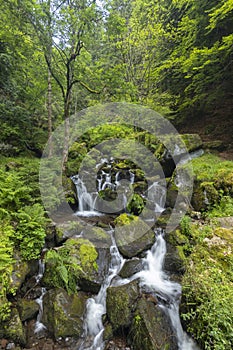 Water wheel mill (Moulin de Chambeuil) with waterfalls, Laveissiere, Cantal, Auvergne-Rhone-Alpes, France photo