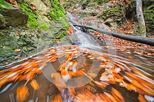Water whirl in creek in Turovska roklina gorge during autumn in Kremnicke vrchy mountains