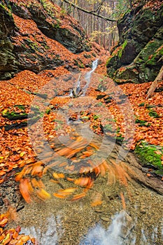 Water whirl in Tajovska dolina gorge near Tajov village during autumn