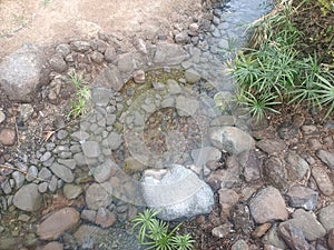 Water in the zoo United Arab Emirates