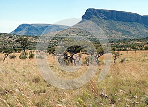 Waterberg Panorama.