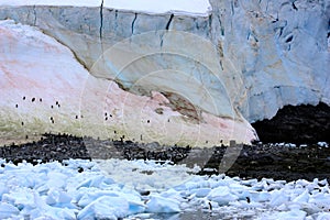 Antarctica, glaciers near Waterboat Point photo