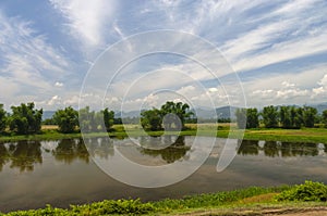 Waterbody and Bamboo Groves near Brahmaputra River, Assam, India