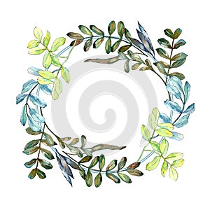 Watercolo green acacia leaves. Leaf plant botanical garden floral foliage. Frame border ornament square.