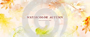 Watercolor abstract art background autumn collection