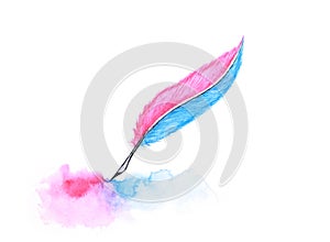 Watercolor abstract quill feather pen isolated on white background