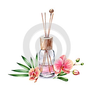 Watercolor Air refresher bottle tropical fragrance. Floral arrangement with peach orchid branch. Pink liquid with wooden