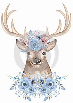 Watercolor animal and beautiful flower bouquet illustration. Deer decorated with florals and feathers clipart. Composition for