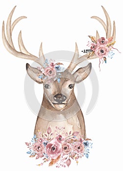 Watercolor animal and beautiful flower bouquet illustration. Deer decorated with florals and feathers clipart. Composition for