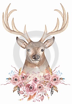 Watercolor animal and beautiful flower bouquet illustration. Deer decorated with florals and feathers clipart. Composition for