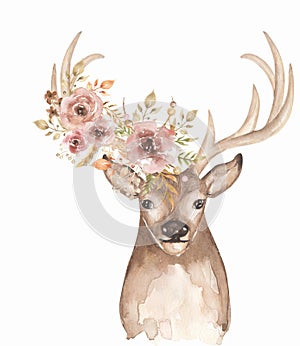 Watercolor animal and beautiful flower bouquet illustration. Deer decorated with florals and feathers clipart. Composition for