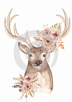 Watercolor animal and beautiful flower bouquet illustration. Deer decorated with florals and feathers clipart. Composition for