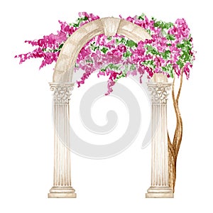 Watercolor antique arch column corinthian order with bright pink flowers, Ancient Classic Greek pillar, Roman Columns
