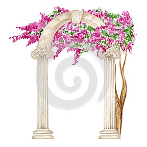 Watercolor antique arch column ionic order with bright pink flowers, Ancient Classic Greek pillar, Roman Columns