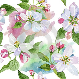 Watercolor apple blossom flower. Floral botanical flower. Seamless background pattern.