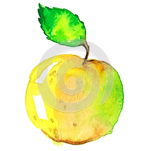 Watercolor apple on a white background photo