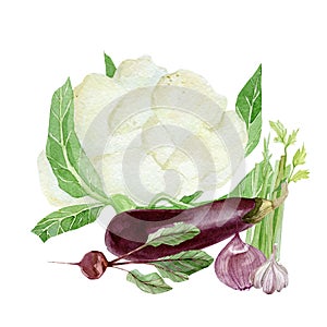 Watercolor arragement vegetable food. Hand painted vegeterian healthy food for design menu, veggie blog
