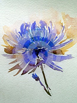 Watercolor art background abstract dalicate flower blue dahlia wash blurred single