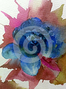 Watercolor art background abstract dalicate light blue flower rose single