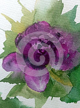 Watercolor art background abstract dalicate light flower rose violet single