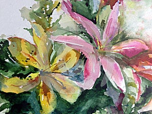 Watercolor art background abstract delicate light green yellow pink flower chamomile lily single