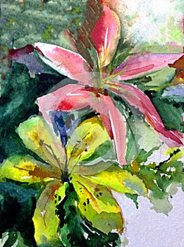 Watercolor art background abstract delicate light green yellow pink flower lily single