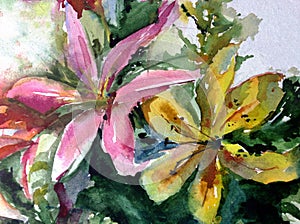 Watercolor art background abstract delicate light yellow pink flower lily single