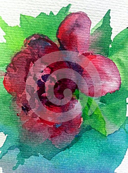 Watercolor art background abstract spring red pink green dalicate light flower rose single